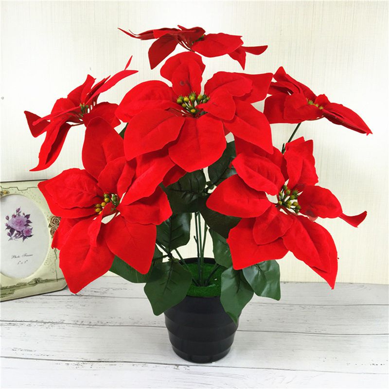 ¤�� �Ϥ�ʤ��� ¤�֥���ƥꥢ ȭ���� ���տ�ʪ ������ �ꥢ�� ��ʪ���ä��� ���տ�ʪ �͹�¤�� �Ϥ�ʤ����꡼�� ������� ����� �̲� ����ƥꥢ £��ʪ �ֱ� �٥��� �����ǥ�