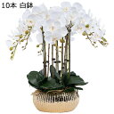 胡蝶蘭 造花 枯れない花 造花インテリア 観葉植物 装飾花 花束リアル 本物そっくり ミニ花器 観葉植物 人工造花 水やり不要 北欧風 ins おしゃれ パーテ...