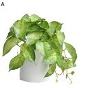 人工観葉植物 リアル ポトス 人工葉っぱ モンステラ 本物そっくり インテリアグリーン フェイクグリーン 大型 水やり不要 観葉植物 人工植物装飾 母の日 敬老の日 結婚祝い クリスマス