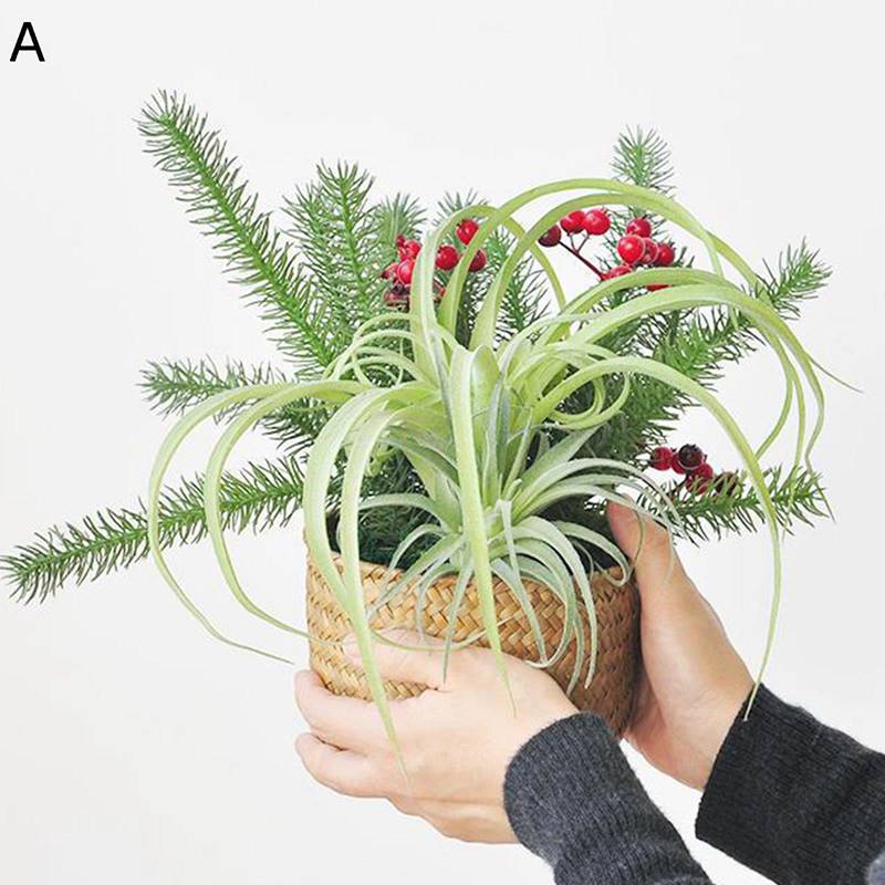 フェイクグリーン リアル ミニ 寄せ植え 人工葉っぱ 鉢植え 人工観葉植物 インテリアグリーン 本物そっくり 観葉植物 植物装飾 お世話不要 枯れないグリーン 屋内/屋外装飾 ホームガーデン