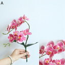 造花インテリア 胡蝶蘭 ミニ花器 枯れない花 装飾花 観葉植物 アートフラワー リアル 本物そっくり 害虫駆除不要 おしゃれ モダン 植物装飾 北欧 贈り物 プレゼント 飾り用 お見舞い ブーケ