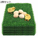 人工芝 ドアマット 犬用人工芝 プロフェッショナルおしっこパッド 2枚セット 使い替え 芝生シート 防火 排水 雑草防止 メンテナンス 不要 犬用トイレトレーニング ホームエリア パティオ 芝生 庭 DIY装飾