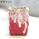 陶器鉢 多肉植物鉢 サボテン鉢 プランター フラワーポット プランター容器 排水穴付き 鉢植え 屋内外利用可 観葉植物 ヴィンテージ 卓上 窓飾り 玄関 庭 イ...