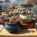陶器鉢 プランター 植木鉢 底穴付き 鉢 ミニ 可愛い インテリア飾り おしゃれ シンプル 装飾用 鉢植え 多肉植物鉢 サボテン鉢 卓上 オフィス 室内 玄関 ...