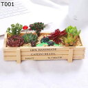 多肉植物鉢 かわいい多肉植物の鉢 植木鉢 ミニ プランター 簡単DIY 癒しグッズ 置物 クリエイティブ おしゃれ 小さな多肉植物 ミニ植物適用 卓上 飾り オ...