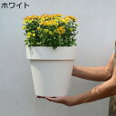 植木鉢 プラスチック鉢 北欧風 根はり鉢 底穴あり プランター ポット 排水穴付き 鉢皿付き 耐久性 バラ鉢 サボテン鉢 鉢植え 蘭 バラ 観葉植物 ベランダ ...