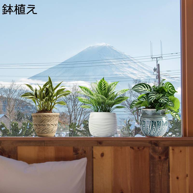 静電ステッカー 窓ステッカー 鉢植え 観葉植物 蝶々 ドア 戸棚 浴室 ガラス 飾り 両面印刷 水で貼る 静..