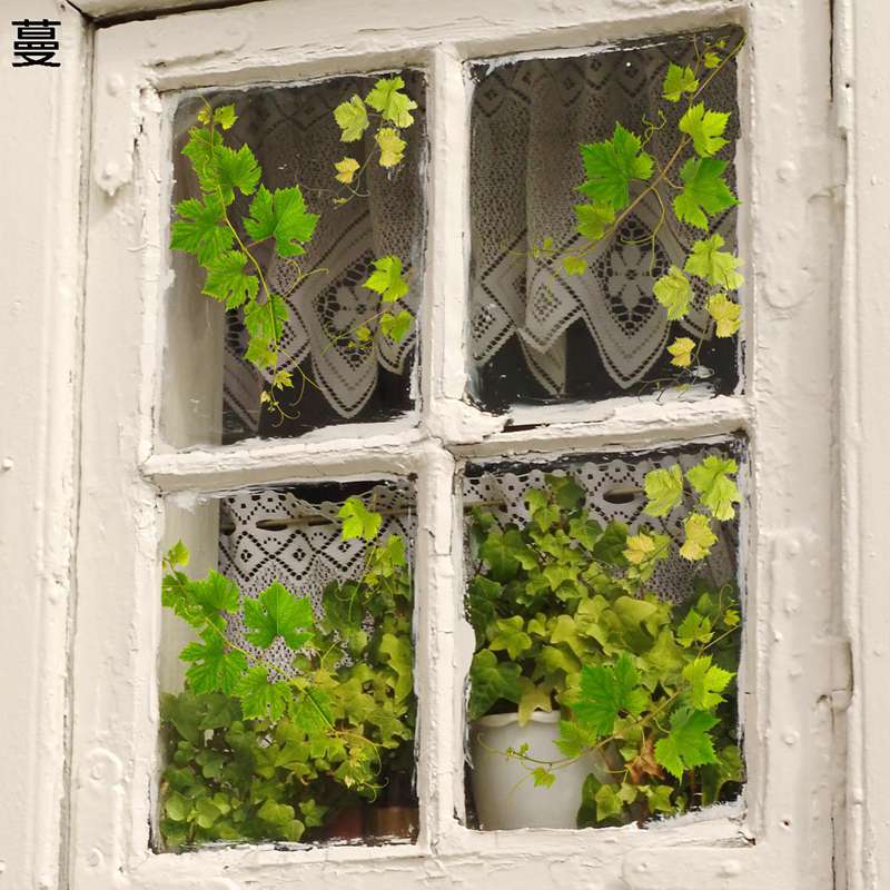 静電ステッカー 窓ステッカー 植物 緑 葉 蔓 本物そっくり 窓 ドア 戸棚 浴室 ガラス 飾り 両面印刷 水..