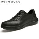 レザースニーカー メンズ 本革 ウォーキングシューズ 運動靴 スポーツシューズ トレーニングシューズ フォーマル 屈曲性 防滑 通気 牛革 クラシック お出かけ レースアップ ローカット 撥水