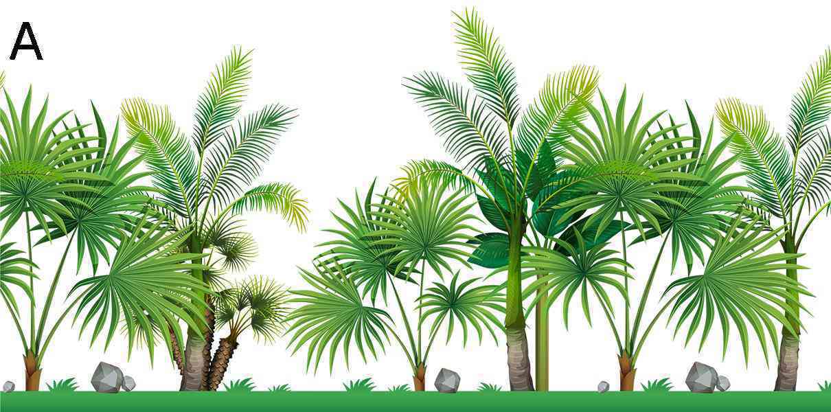 断熱フィルム 窓用 ガラスシール 熱帯植物柄 おしゃれ 装飾 目隠しシート 剥がせる 水で貼る 日よけ uv..