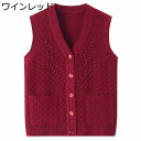 高齢者 前開きボタンベスト ニットカーディガン Vネック 袖なし 重ね着 レディース 柔らかい 保温 婦人服 チョッキ ストレッチ ブラウス カジュアル お誕生...