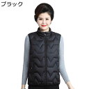 中綿入り あったかベスト レディース 袖なし ジャケット 立ち襟 ジップアップ ボリュームネック シニアファッション 大きいサイズ ポケットあり 分厚い ショート丈 カジュアル ギフト