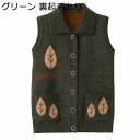 衿付ベスト カットソー おばあちゃんへ ニットカーディガン 婦人服 高齢者 袖無し 前開きボタンセーター あったか 保温 カジュアル ブラウス 羽織り 敬老の日...