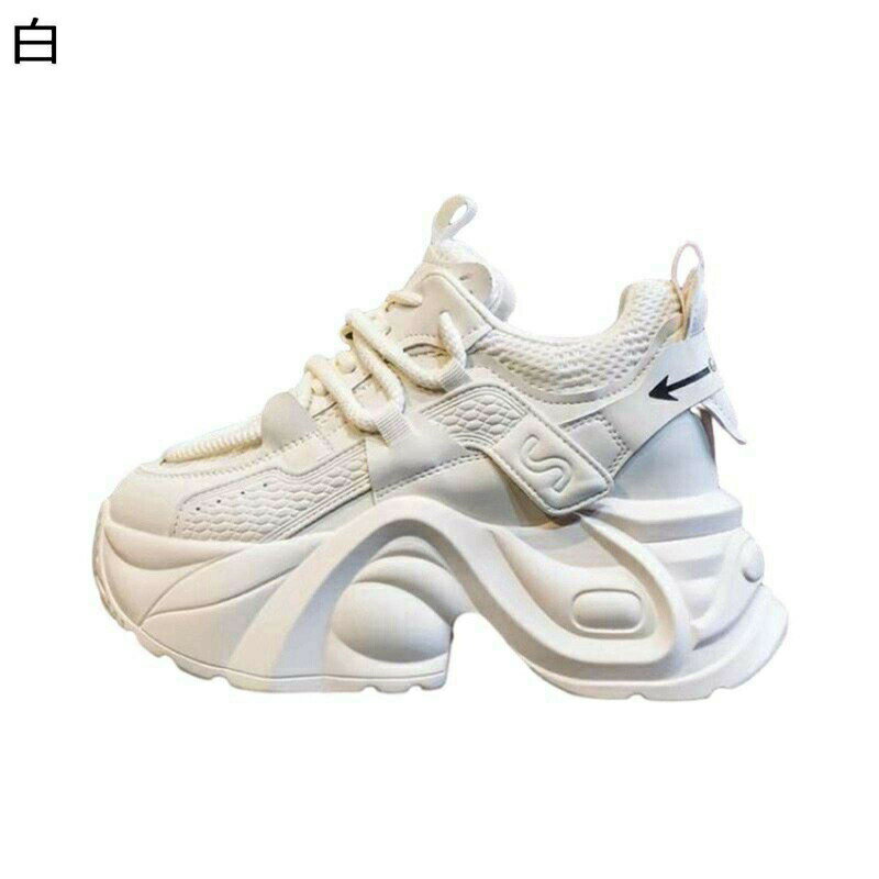  ǥˡ ݡĥ塼 졼å Ĺå ʤ ѵ 괶  Ʃ  ȥ졼˥  ݡ ...