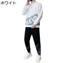 2点セット トレーナー ロング Tシャツ メンズ 春秋服 英字柄 スウェット ゆったり 長袖カットソー リブ かっこいい パーカー ラウンドネック プルオーバー 伸縮性 薄手 通勤 スポーツ 旅行 ストリート系(4)