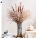 造花 ススキ 草 ドライフラワー 置物 ノルディック 装飾 ノルディック 花瓶 年式 葦 プルーム 乾燥 葦 束 飾り 造花 花 ポリエステル 紙 グレー 葦の花の花束 誕生日プレゼント 枯れない花 記念日