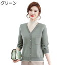 カットソー あたたかいセーター 保温防寒 おおきいサイズ 春秋冬 レディース プルオーバー 婦人服 インナー トップス きれいめ 大人抜け 着回し力 伸縮性良い...