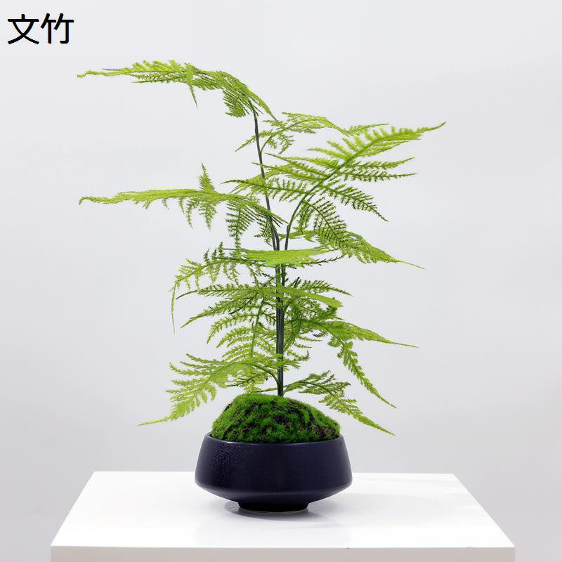 文竹 フェイクグリーン 盆栽 人工苔 フラワーアレンジメント 鉢植え インテリア 卓上 人工観葉植物 繊細な葉 店舗用 ホテル ティールーム 耐退色 デスクトップ 部屋 リビング お開店祝い 新生活 枯れない