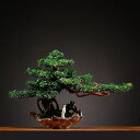 店舗 風景 ウェルカムパイン盆栽 家庭 茶室 室内 裏庭 優雅 大型 造花 フェイクグリーン 人工観葉植物 プレゼント 引っ越し祝い 結婚 父の日 枯れない 水...