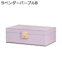 ジュエリーボックス アクセサリーケース たっぷり収納 ケース レザー 2層 着脱式仕切り付き ネックレス ブレスレット 宝石箱 大容量 頑丈 女性 防塵 引き出...