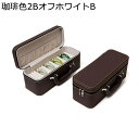ジュエリー収納 ケース コレクションケース レザー 15本 女の子 ファスナー 取っ手付き 大切な人 仕切り付き アンティーク シンプル 収納に便利 母の日ギフ...