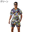 半袖シャツ 花柄 ハワイシャツ メンズ 開襟シャツ ショートパンツ バナナ柄 春秋夏着 上下セット ハワイ諸島柄 ファッション アロハ風 コンフォート 汗染み防...
