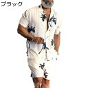 アロハシャツ メンズ 開襟シャツ ビーチシャツ 夏 半袖 上下セット やしの木柄 プリント ハワイ風 薄手 涼しい 軽量 通気性 スポーツ 花火大会 夏祭り 結...