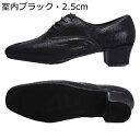 レザー 社交ダンスシューズ ダンスシューズ レザー モダンシューズ 本革 メンズ フェルト ローヒール レースアップ 紐付き ヒール付き 通気性良 踊りやすい ...