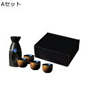酒器 セット ぐい呑み 盃 5点セット酒器 手描き とっくり 和酒徳利セット おちょこ ボトル 徳利1個 ぐい呑み4個セット 専用箱入り お洒落 おしゃれ 上品 和風 陶磁器 プレゼント 結婚祝い 正月 宴会 ホーム