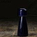 酒器 セット 100ml 酒盃 とっくり 冷盃 清酒 ボトル 徳利1個+ぐい呑み1個セット 猪口 ぐい呑 ミニ 冷盃 清酒 ボトル 酒盃 陶磁器 北欧風 おしゃれ シンプル プレゼント 結婚祝い 正月 宴会 お出かけ用