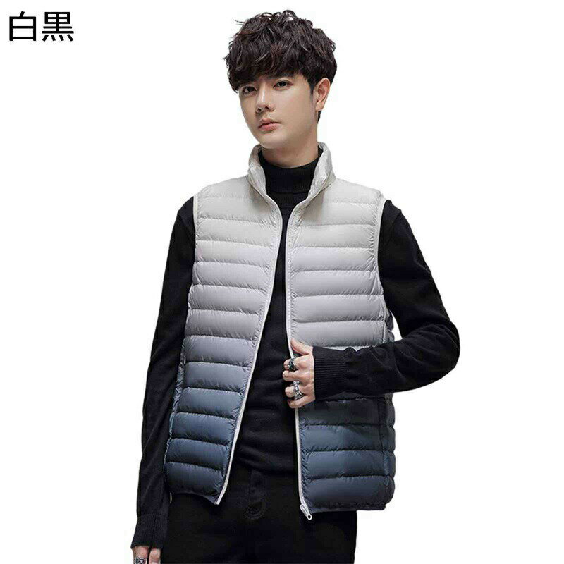 ダウンベスト 秋冬 メンズ 90ダウン 保温ベスト グラデーション お洒落 重ね着 アウター 立ち襟 防風防寒 厚手 袖なし チョッキ ジレ 大きいサイズ カジュアル 軽い 普段着 アウトドア 通勤 通学 登山
