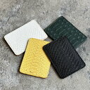 【KC,s】ケーシーズ KCs ケイシイズ 【限定商品】パスケース マットパイソン