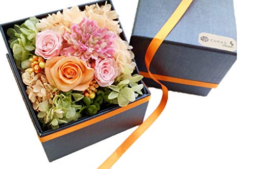 CURAS プリザーブドフラワー 本物たっぷり アミファ（amifa)全面コラボ フラワーBOX フ