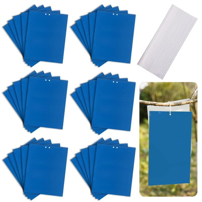 【智慧生活】カラ：ブルー、15*20cm 合計：30枚 コバエ取り コバエ 害虫駆除 ハエ取り 殺虫器 アブラムシ 駆除 園芸シート ダニ取りシート ハエ取り紙 粘着シート 観葉植物 防虫シート 防虫テープ 家庭菜園 土 ダニ取り 蜂よけ グッズ ハエとり草 虫取りシート 防虫 捕虫器