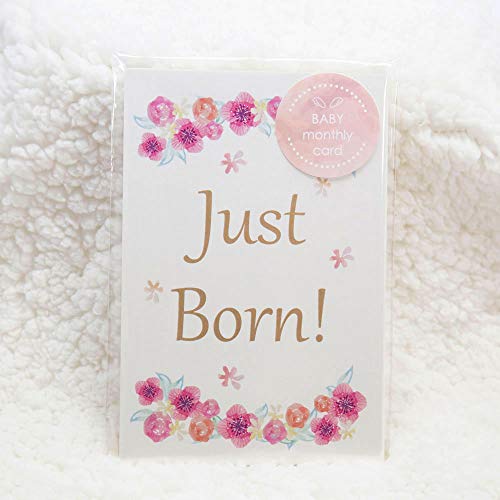 ベビーマンスリーカード 18枚セット（5歳まで）design2（flower）月齢フォト 月齢カード フラワー 成長..