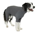 マンダリンブラザーズ SKIN TIGHT SUIT スキンタイトスーツ 犬用インナーウェア (XL, GRAY)