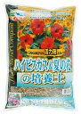 刀川平和農園 平和 ハイビスカス&夏の花の培養土(SCGシリーズ) 5リットル