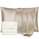 Utukky 枕カバー シルク枕カバー【TVで紹介】50×70cm シルク100%枕カバー 6Aランク 封筒式 両面用 シルクタイプ 封筒式 ピローケース 美髪・美肌 乾燥対策 静電気防止 お肌に優しい 抗菌防臭 寝具 1枚セット シャンパン