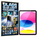 RISE フィルム ブルーライトカット 93% iPad 第11世代 (A16) 2025 用/iPad 第10世代 2022 用 ガラスフィルム 10.9インチ 用 保護フィルム 強化 ガラス 高透過 高光沢 硬度9H 2.5Dラウンドエッジ 自動吸着 気泡ゼロ 飛散防止 指紋防止 撥水撥油 3D タッチ