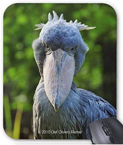 ハシビロコウのマウスパッド：フォトパッド（ 世界の野鳥シリーズ ） (F)