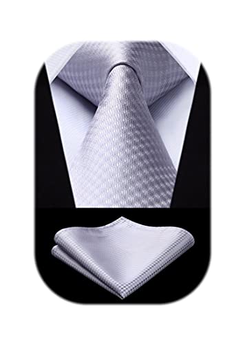 [HISDERN] フォーマル シルバー ネクタイ チーフ セット メンズ 結婚式 柄 シルク ブランド 紳士 礼服用 ビジネス 入学式 卒業式 プレゼント 高級HC-01