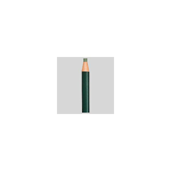 油性 色鉛筆 ダーマトグラフ 1ダース【インク色:緑】 K7600.6 1