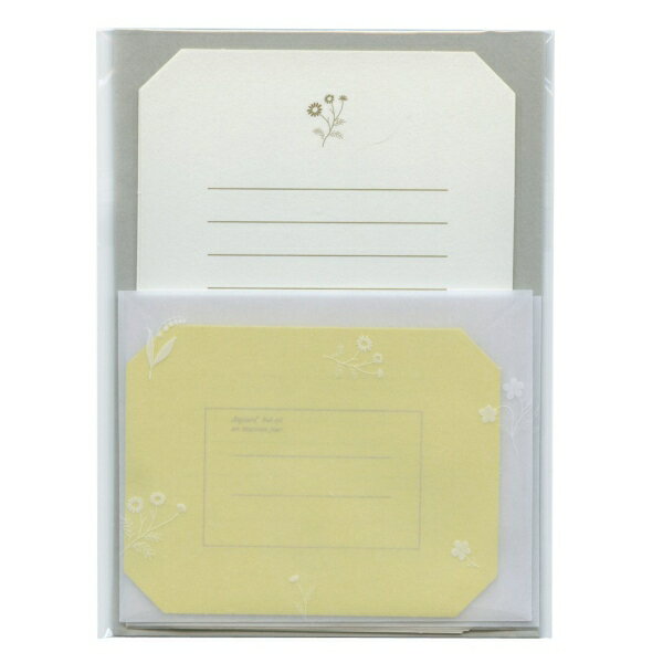 ミニレターセット【マーガレット】花 きれい