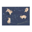 森山標子 ポストカード【あなたを思いださせる星があるよ】かわいい 動物