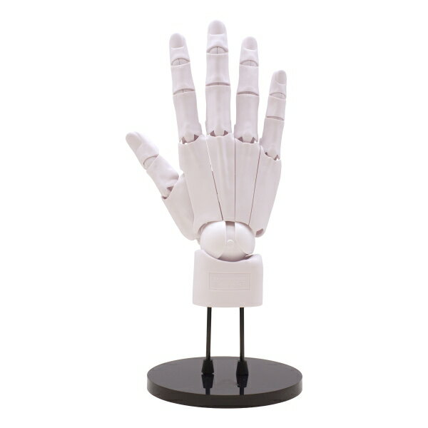 1/1スケール ARTIST SUPPORT ITEM ハンドモデル メンズ/R【ホワイト/右手】