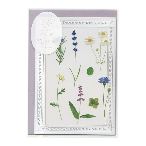 草木花/ソウモッカ 飾れる押し花の透明カード 多目的カード【ハーブ】
