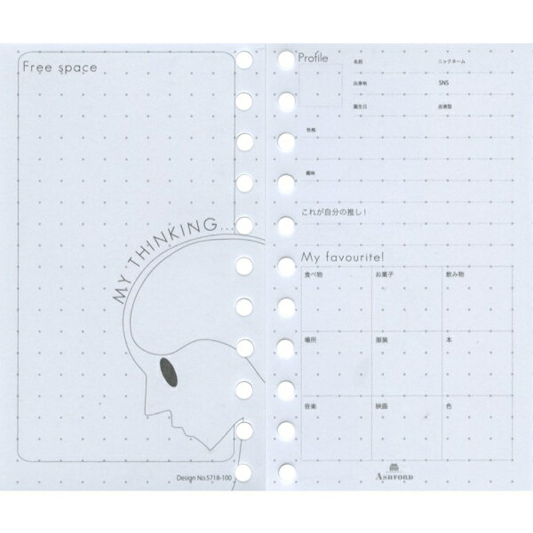 ルーズリフィル マイクロサイズ プロフィール 11穴タイプ