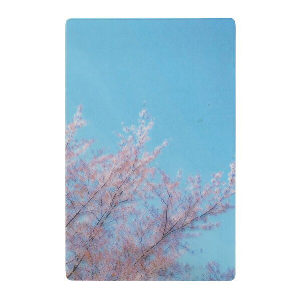Rakuten - 安堂 真季 透明写真栞【青空に桜】ブックマーク