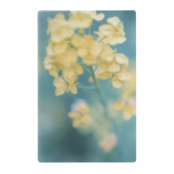 ��Ʋ ���� Ʃ���̿��١ںڤβ֡ۥ֥å��ޡ���