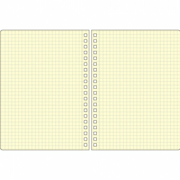 2026年 手帳 3月始まり 月間ブロック ロルバーンダイアリー A5 アクア【炭酸水】